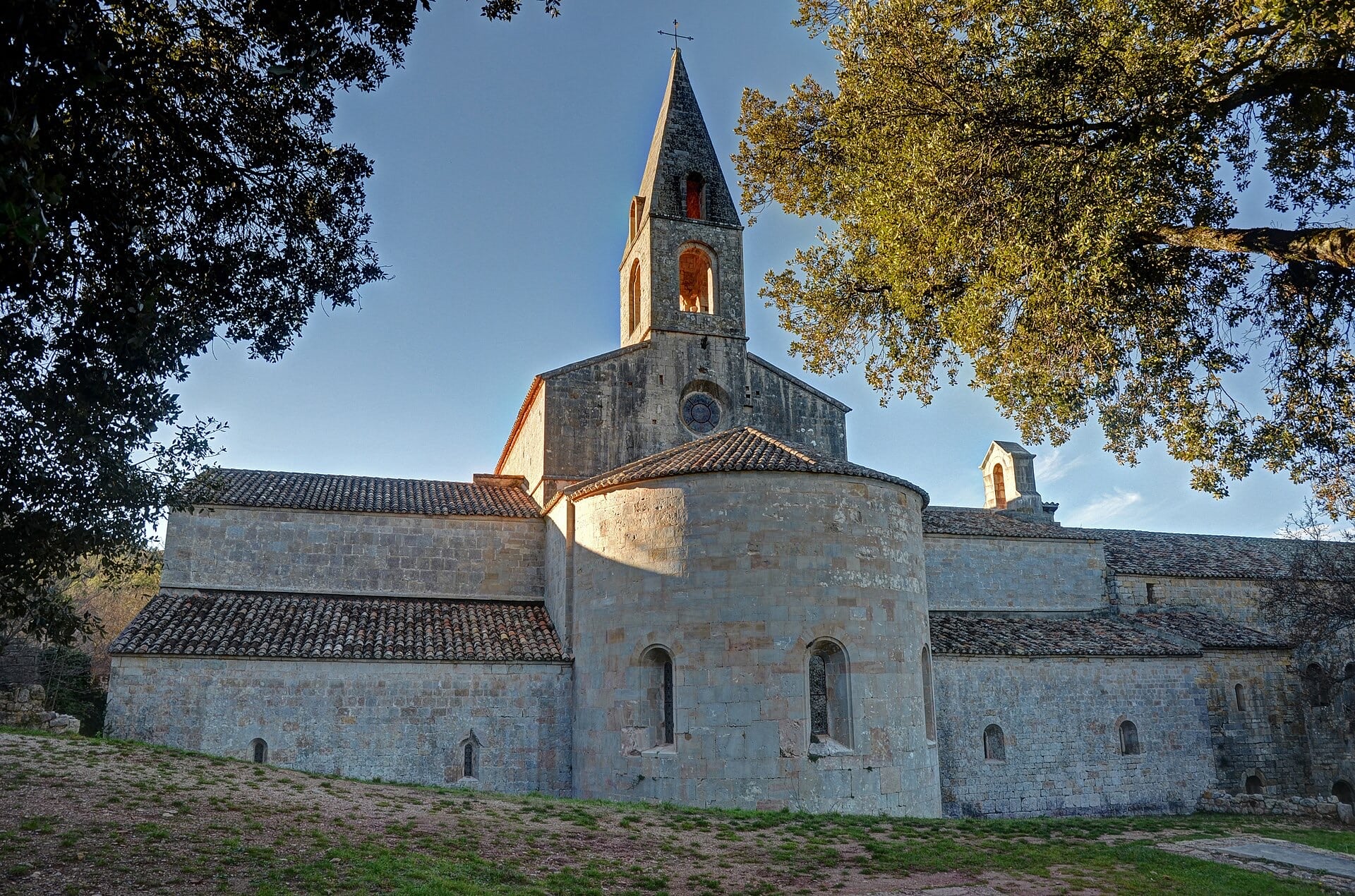 Abbaye cistercienne du Thoronet vue du chevet : abside semi-circulaire, clocher de pierre pyramidal sur la croisée, toitures basses de tuiles, murs de calcaire doré parmi les chênes