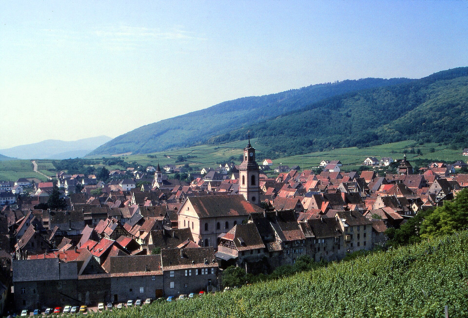 Le village de Riquewihr blotti dans le vignoble alsacien