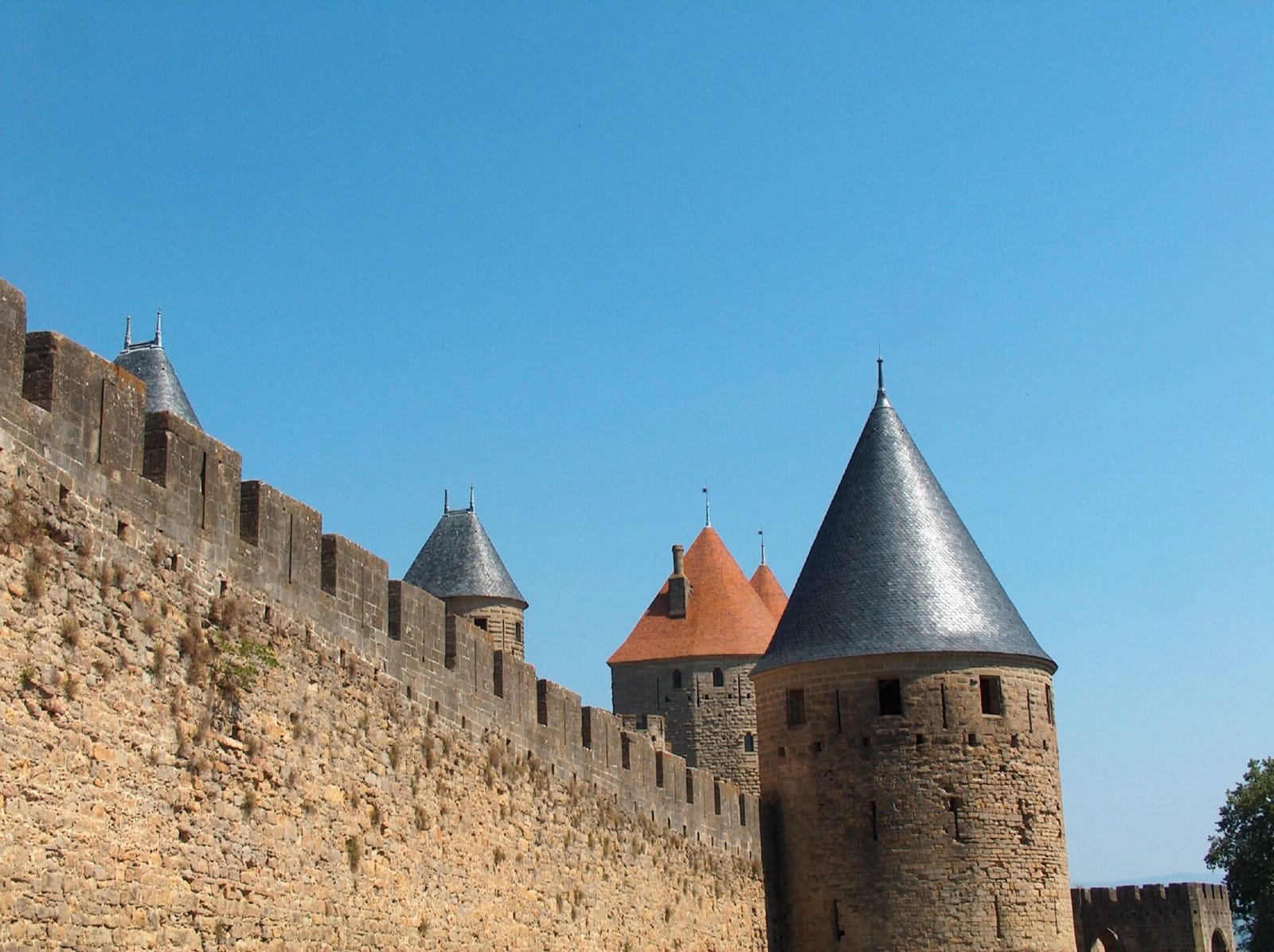 Tours coniques des remparts de la cité de Carcassonne couvertes d’ardoise en écailles, sous un ciel bleu