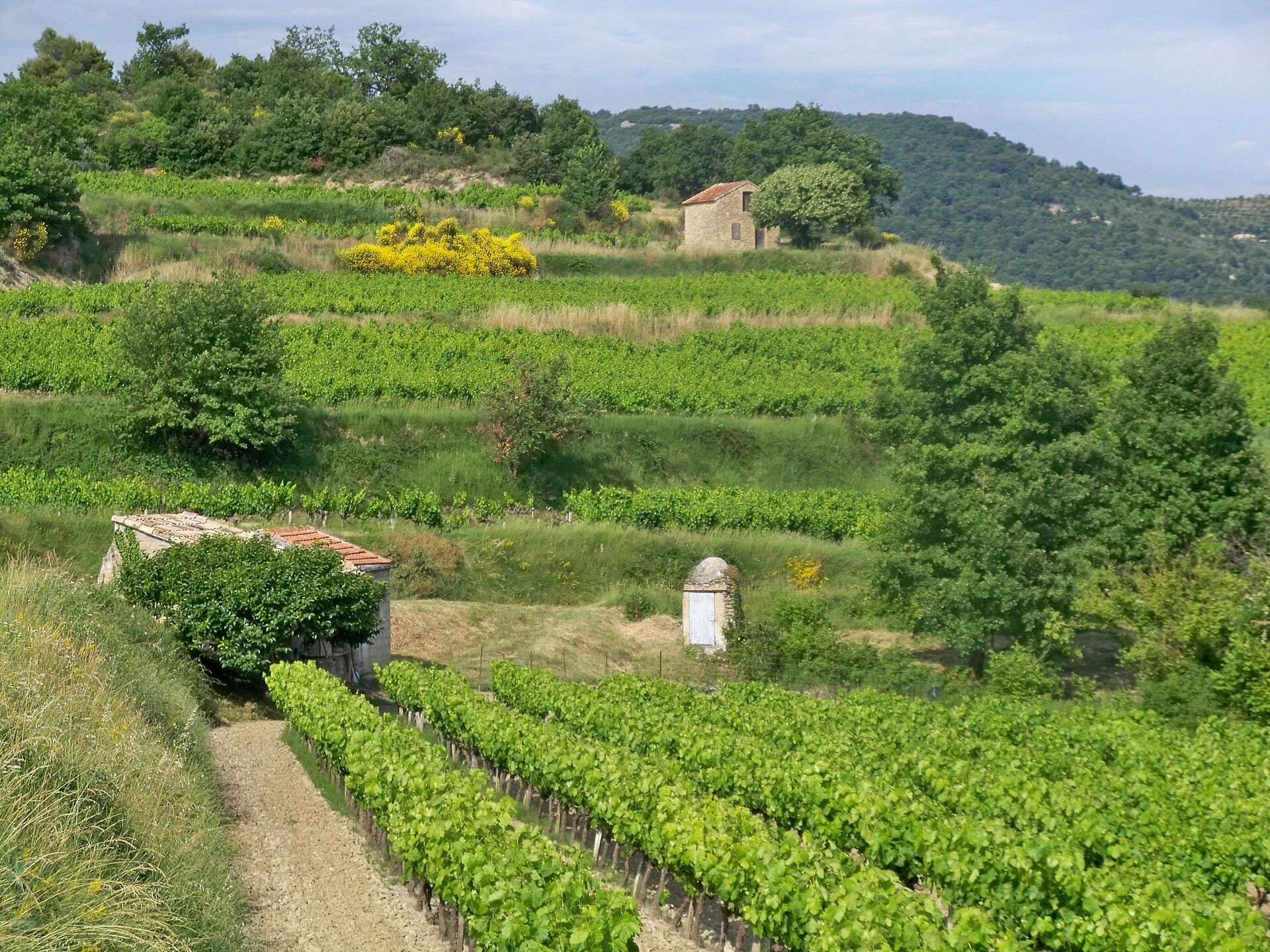 Cabanes de vignes en pierre sèche et puits dans le Haut Comtat