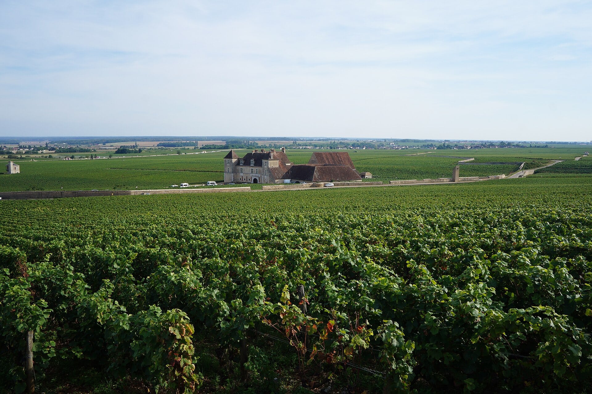 Le vignoble de la Côte devant le château du Clos de Vougeot