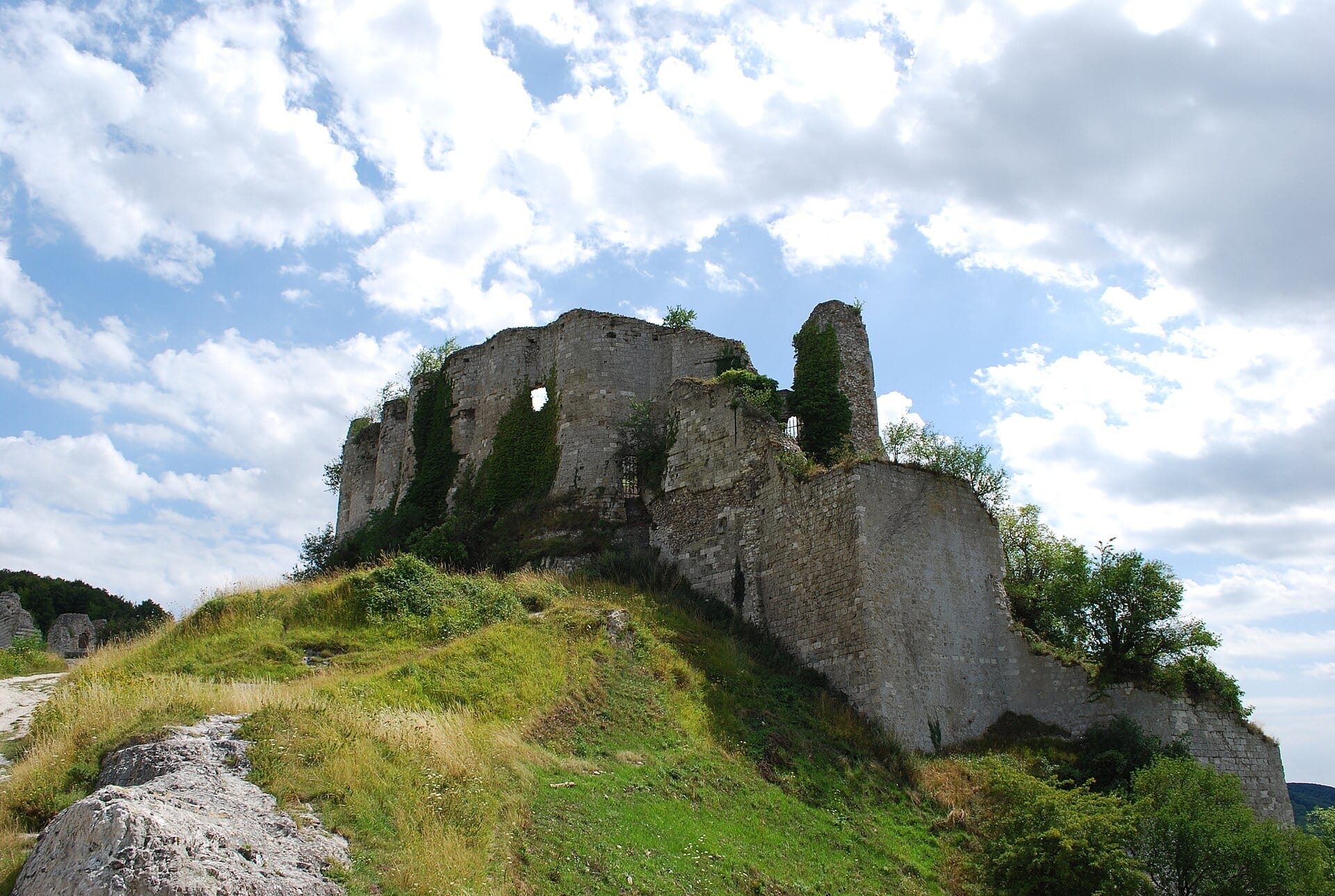 Vestiges massifs de Château Gaillard sur un promontoire herbeux : hauts pans de muraille de calcaire éventrés, tour ruinée, à-pic rocheux