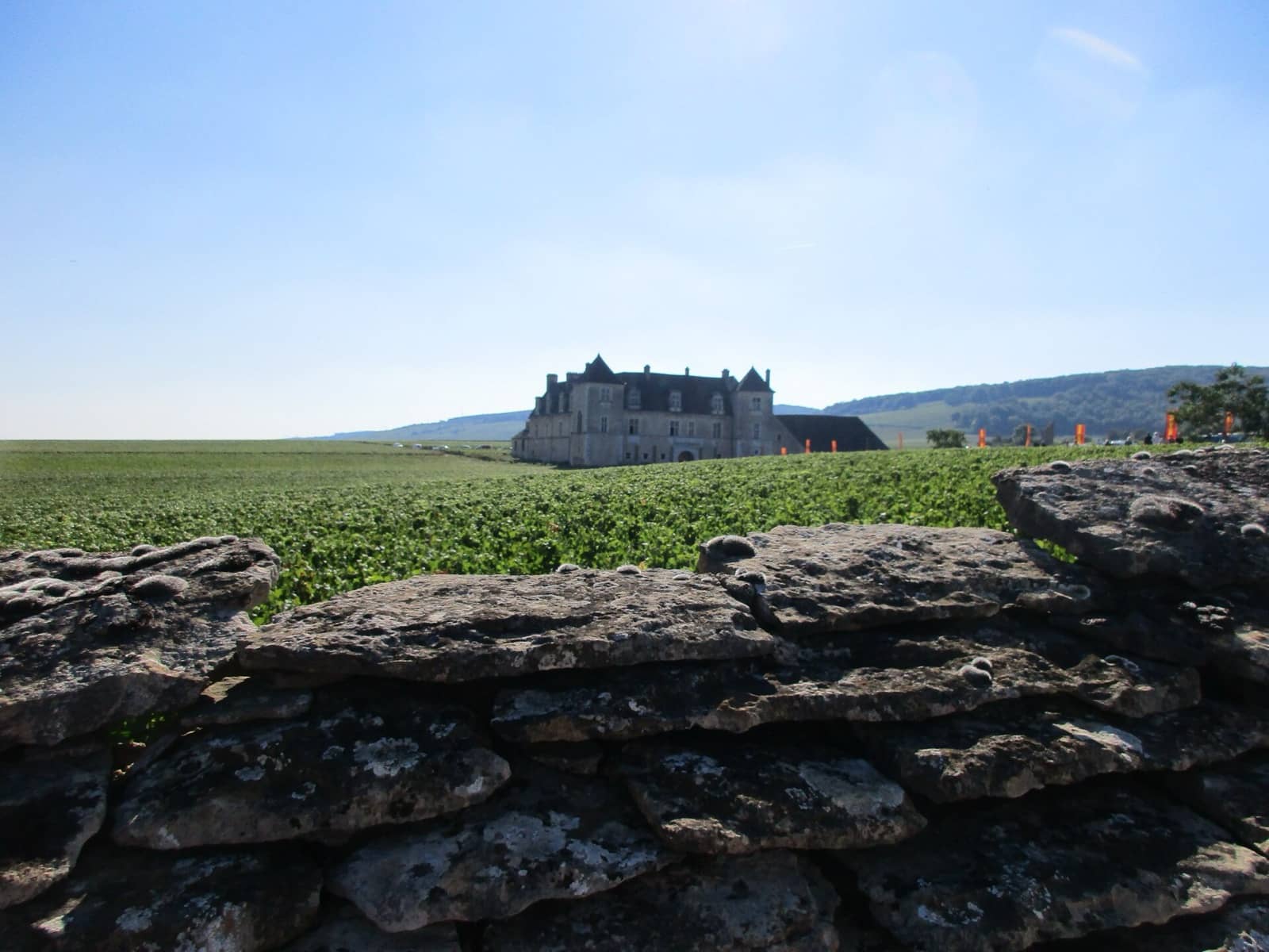 Château de pierre à tourelles se détachant au-dessus d’un vignoble clos, vu par-dessus un muret de pierres sèches au premier plan
