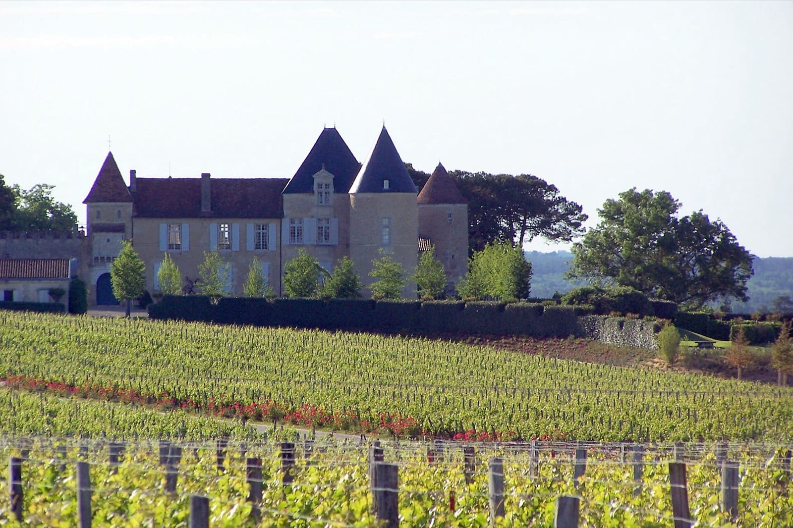 Château à tourelles et toits coniques d’ardoise dominant des rangs de vigne, sous un ciel clair