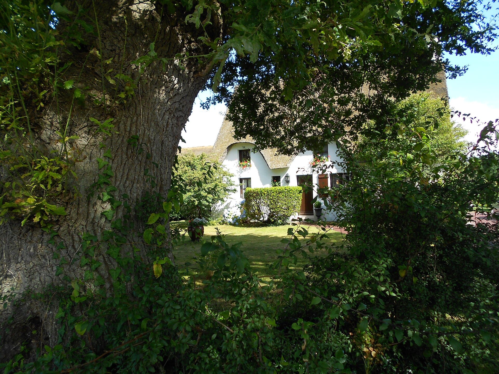 Chaumière normande blanche dans un jardin arboré