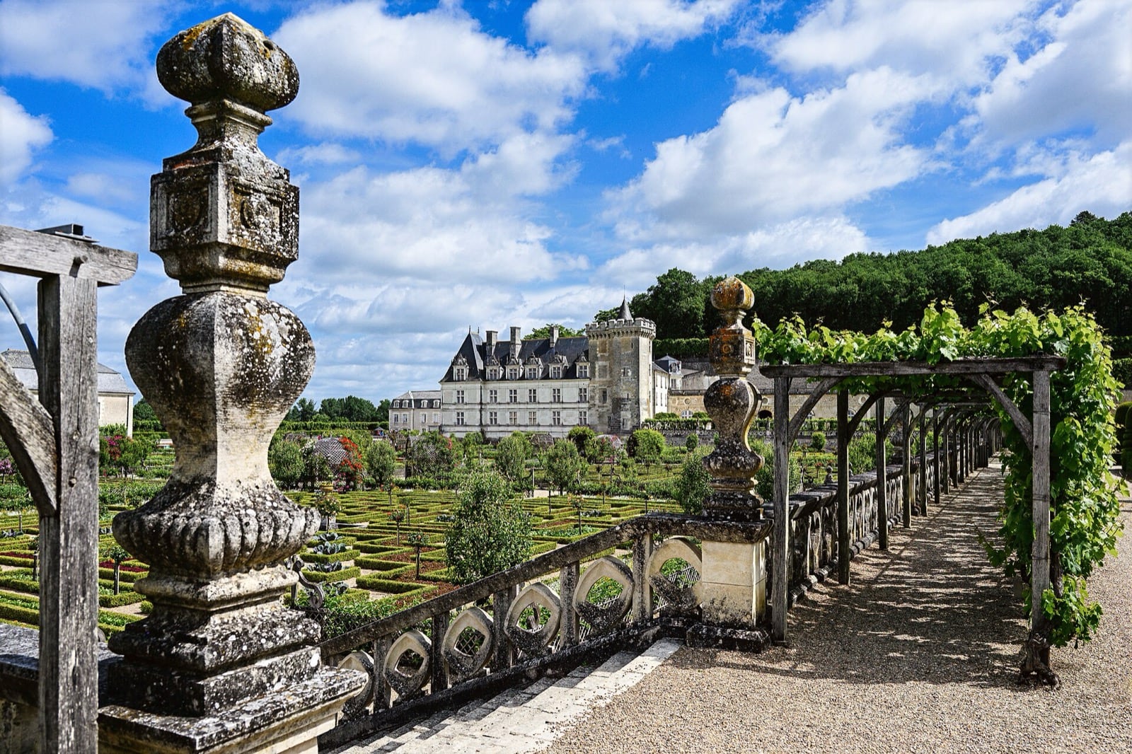 Le potager de Villandry : carrés de légumes ordonnés et pergola de vigne, le château en arrière-plan