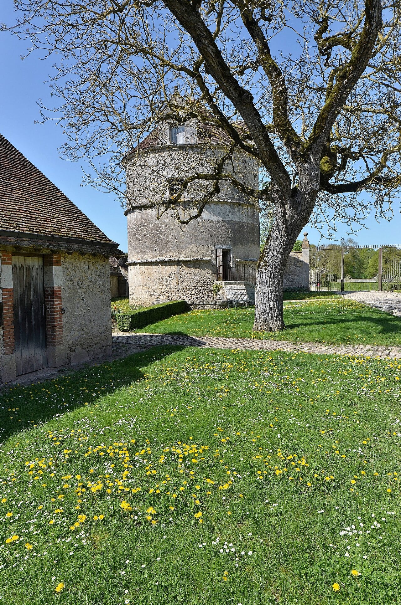 Le colombier cylindrique en pierre du château de Talcy (Loir-et-Cher), isolé dans un pré et coiffé d’un toit conique.