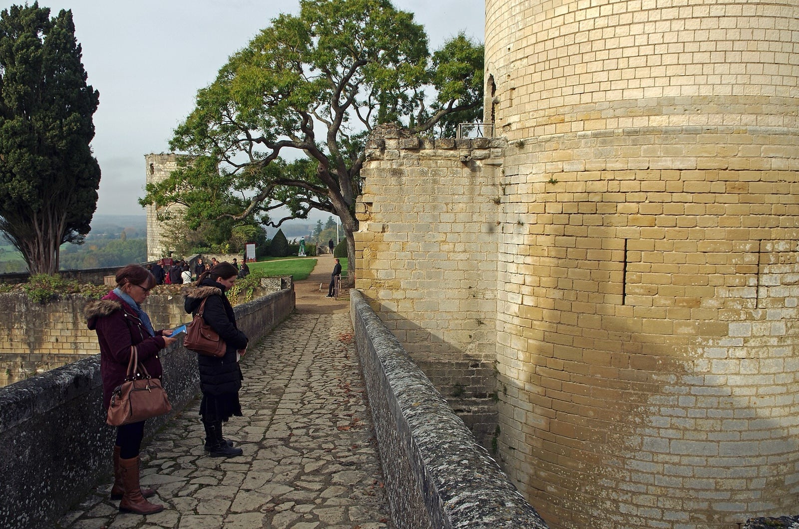 La forteresse de Chinon dominant la Vienne : longue courtine de pierre reliant les tours au bord du plateau