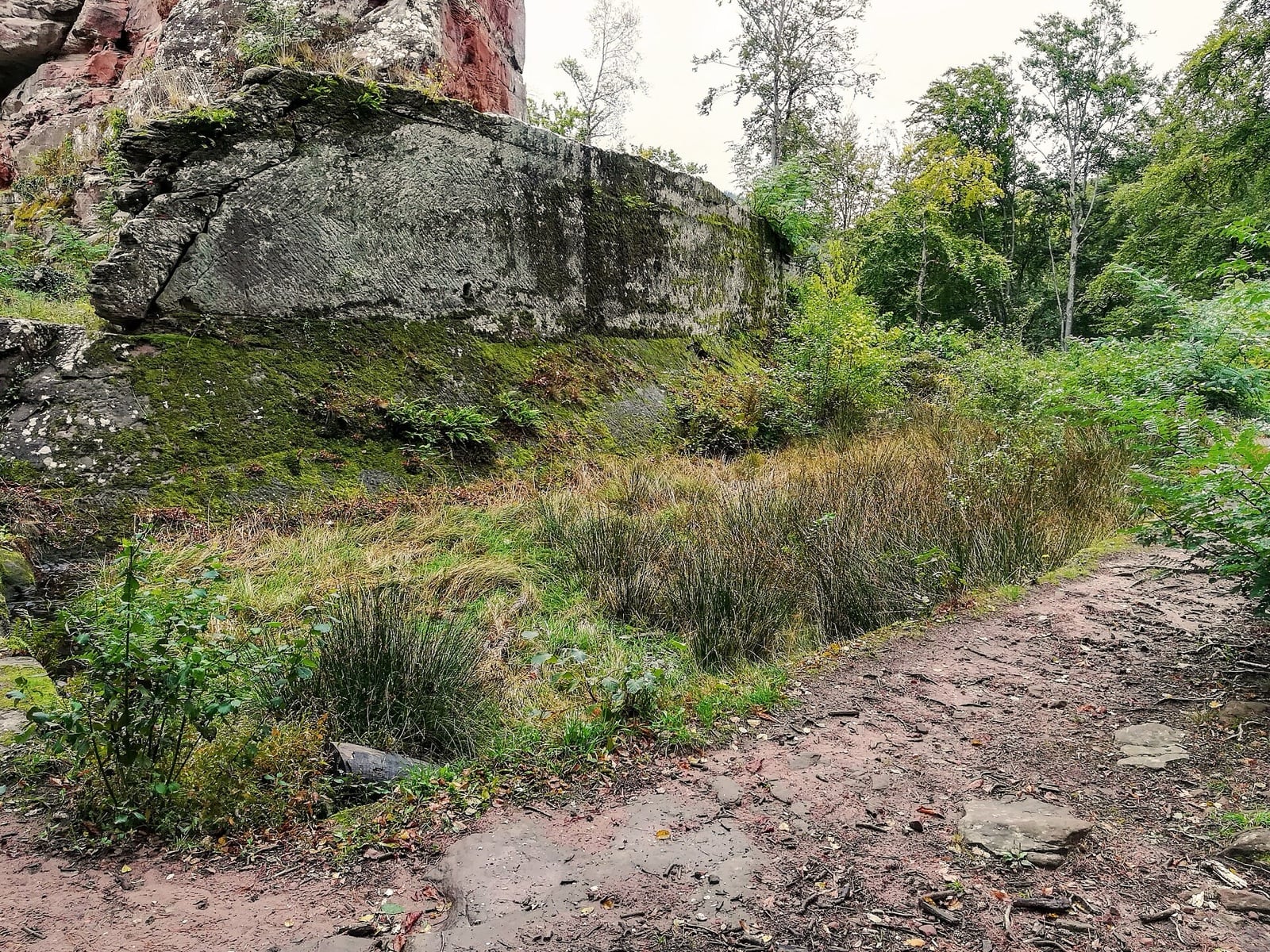 Fossé sec taillé dans le grès au pied du château du Wasigenstein, dans les Vosges du Nord