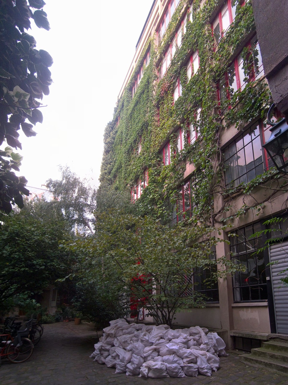 Cour intérieure du 33 rue du Faubourg-Saint-Antoine à Paris, façade de pierre couverte de rosier grimpant et de glycine