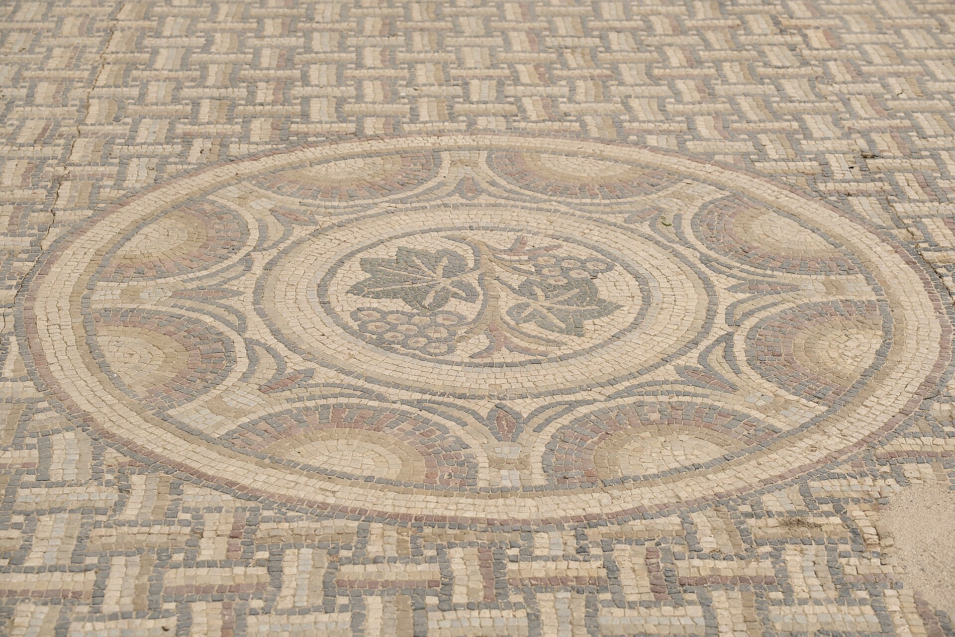 Pavement de mosaïque romaine à décor géométrique de tresses et de cercles, médaillon central orné d’un motif végétal, à la villa de Séviac