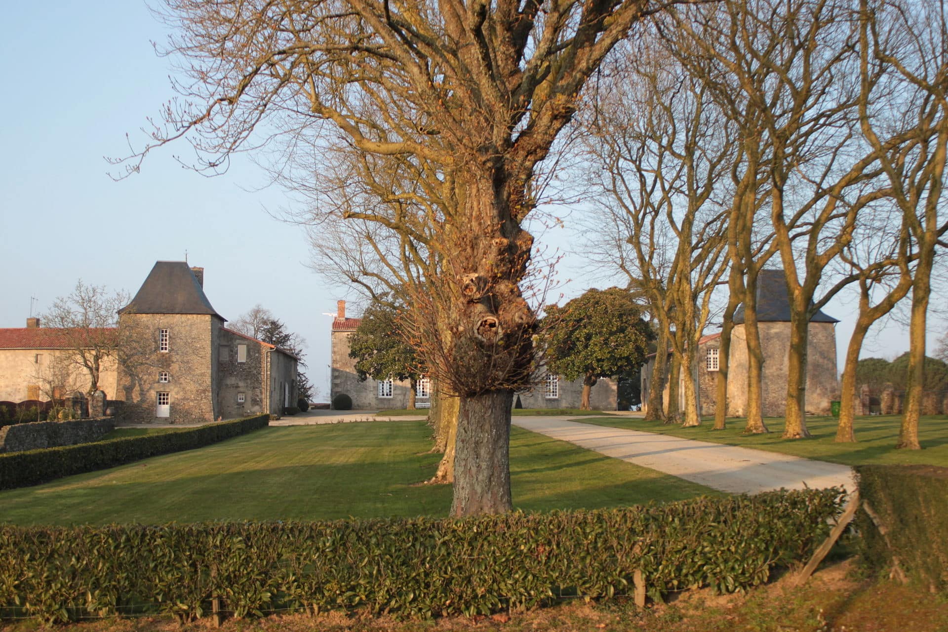 Logis noble en pierre à haute toiture d’ardoise, flanqué d’un pavillon carré, dans un parc à l’anglaise avec une allée de tilleuls têtards et des haies taillées