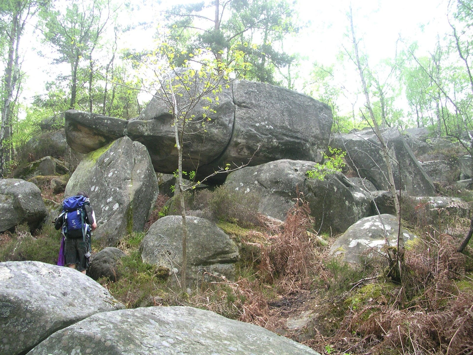 Chaos de blocs de grès en forêt de Fontainebleau, un randonneur donnant l’échelle