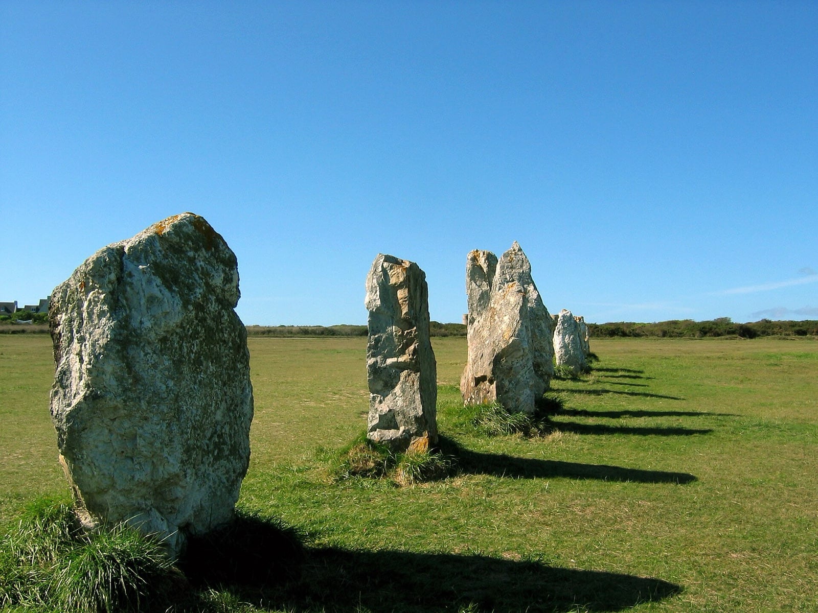 Menhirs de grès armoricain clair aux silhouettes irrégulières, alignements de Lagatjar à Camaret