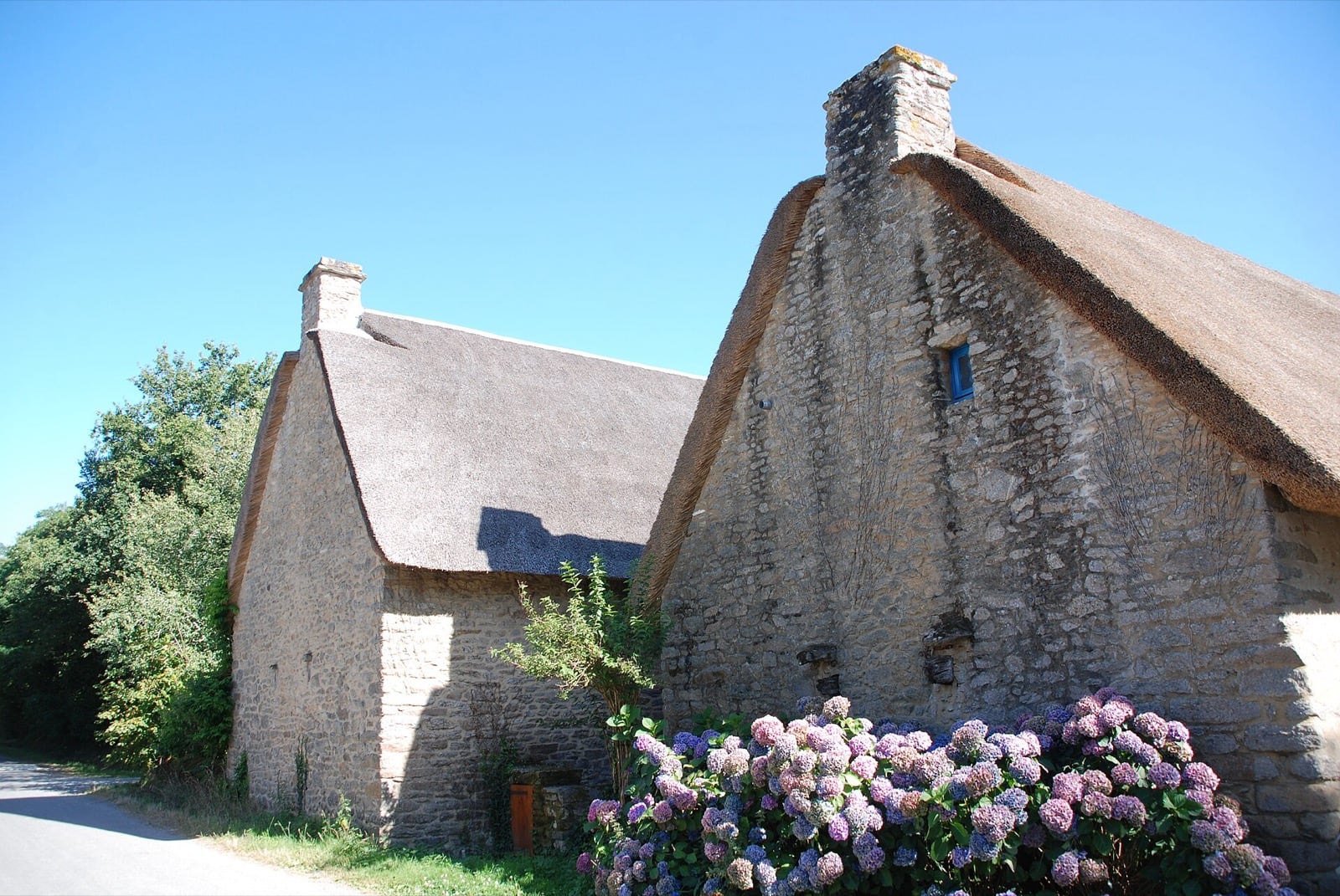 Chaumières de granit du hameau de Kerhinet : murs de moellon, épaisses toitures de chaume à arêtes arrondies, hortensias devant