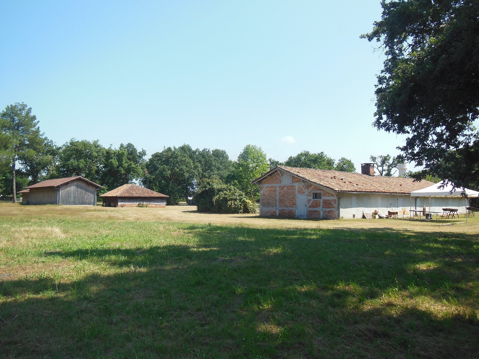 Dépendances basses dispersées sur l’airial d’un domaine landais, à Pontenx