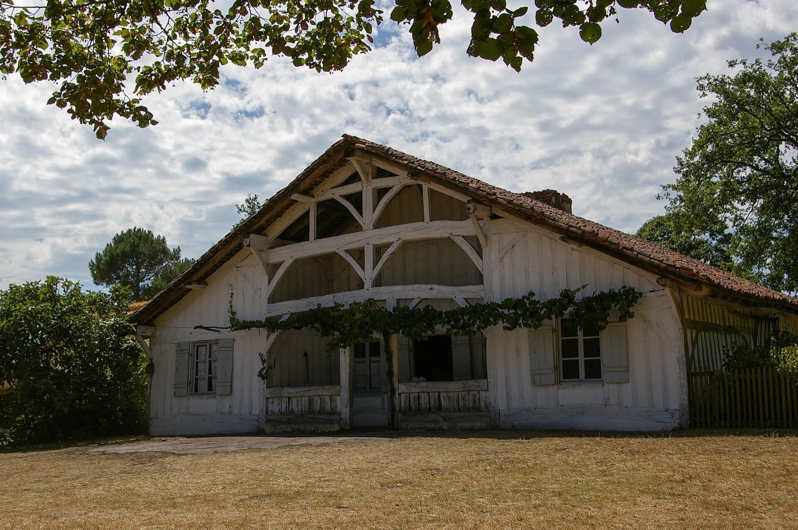 Maison landaise à pans de bois sous son large toit débordant, dans une clairière plantée de grands chênes, à Marquèze