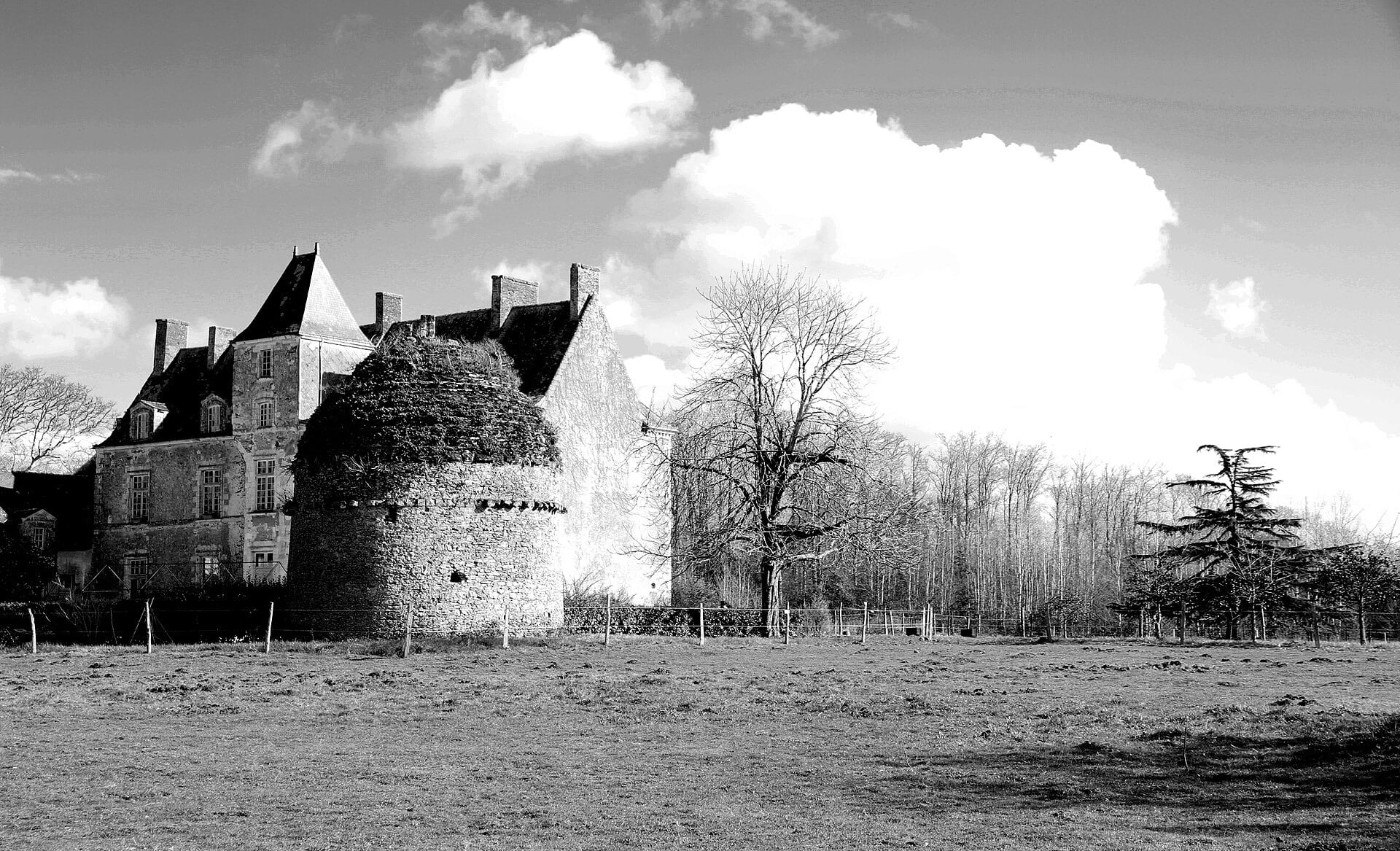 Photographie en noir et blanc d’une demeure ancienne en pierre à haute toiture d’ardoise, lucarnes et hautes cheminées, avec au premier plan une vaste tour ronde en moellon, arasée et couverte de lierre, dans une prairie bordée d’arbres nus