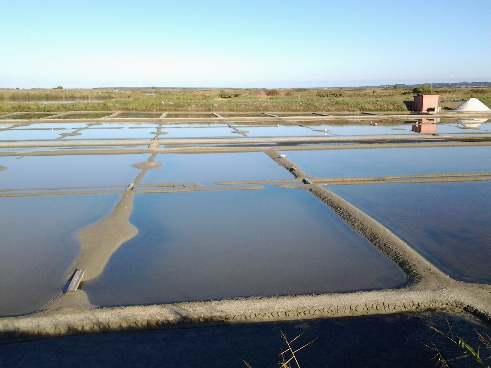 Marais salants vus de haut : bassins carrés séparés de talus d’argile, une hutte et un tas de sel au bord