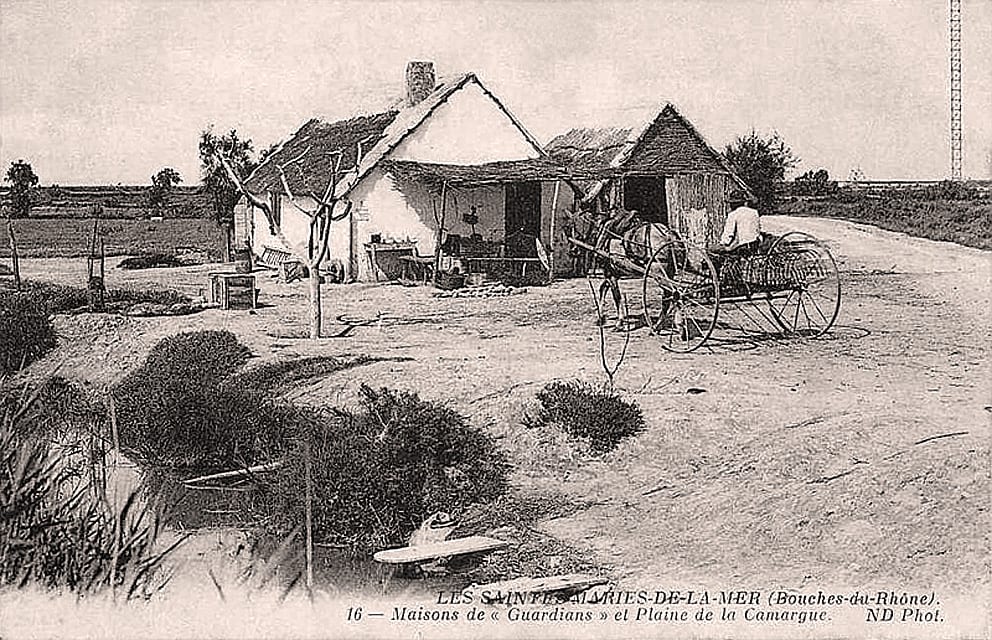 Cabanes de gardians dans la plaine de Camargue, carte postale du début du XXᵉ siècle