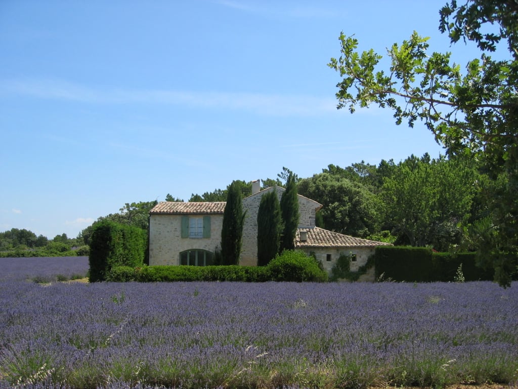 Mas de pierre au bord d’un champ de lavande, en Drôme provençale