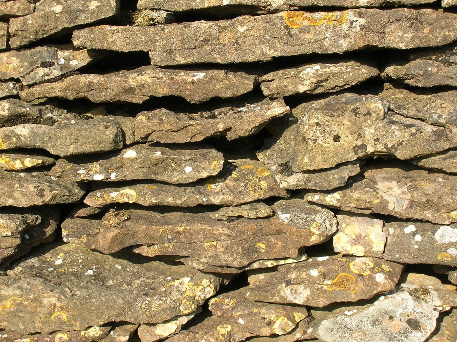 Gros plan sur l’appareil d’un muret de pierre sèche : pierres plates empilées à sec, lichens orangés et blancs