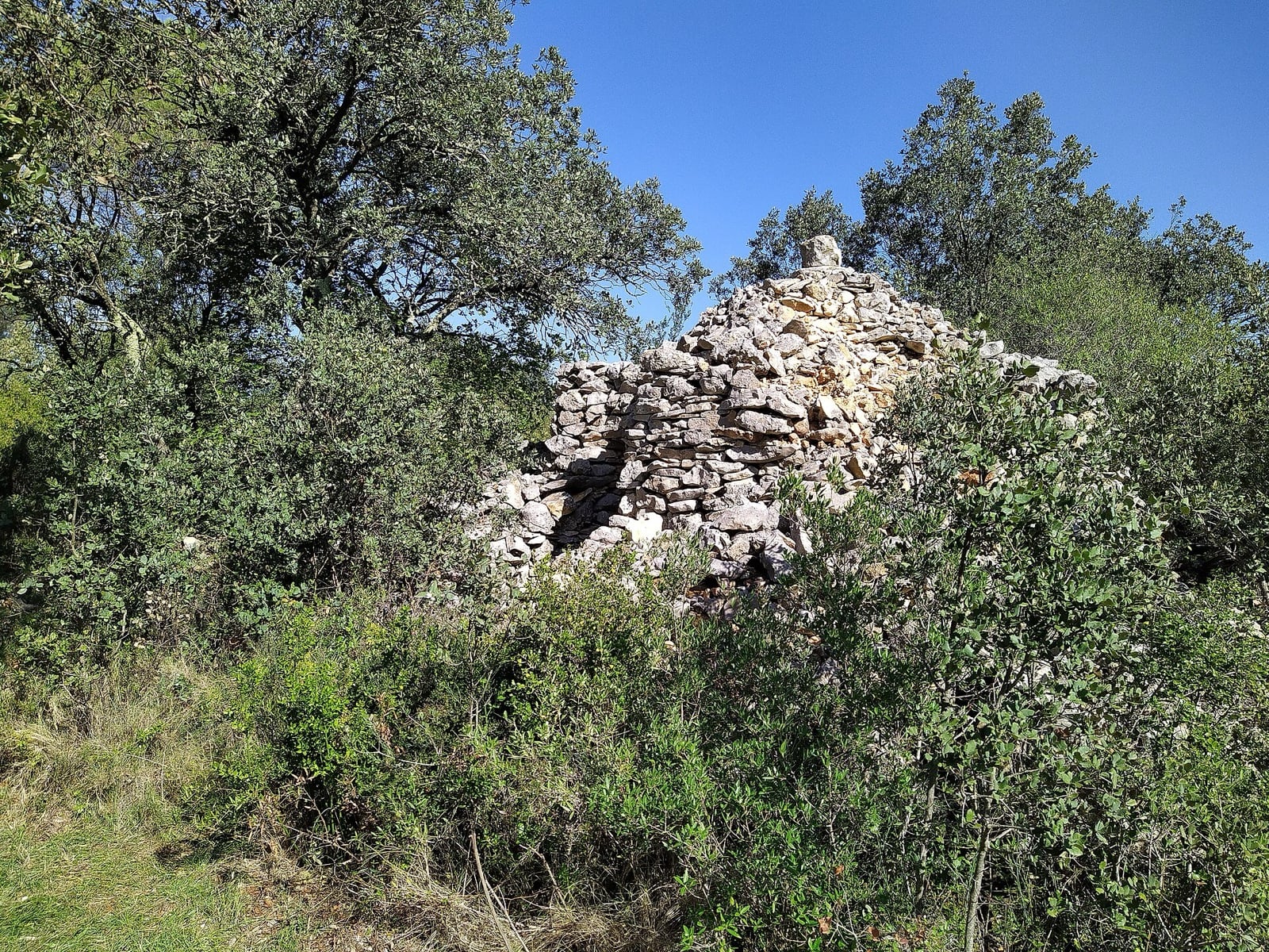 Capitelle de pierre sèche à demi cachée dans la garrigue, abri conique de berger ou de vigneron