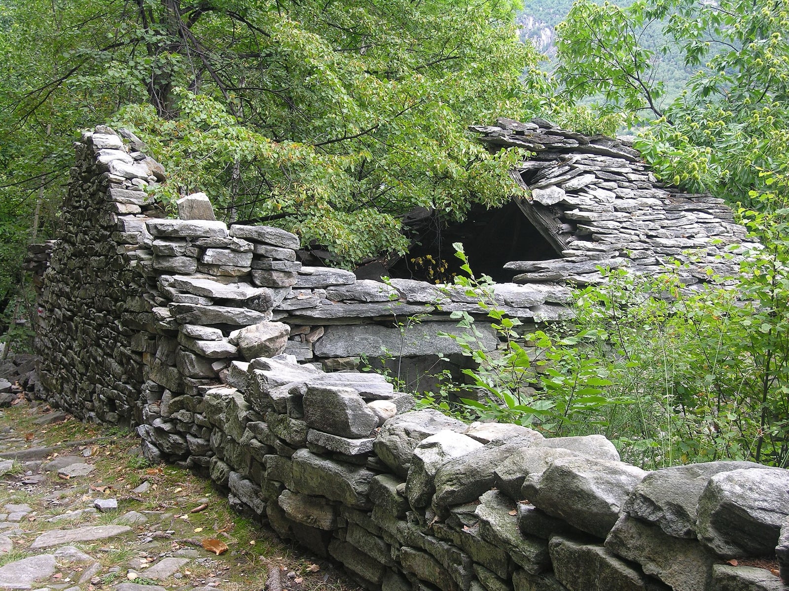 Cabane de pierre sèche en ruine montrant la voûte en encorbellement, dalles avancées en surplomb