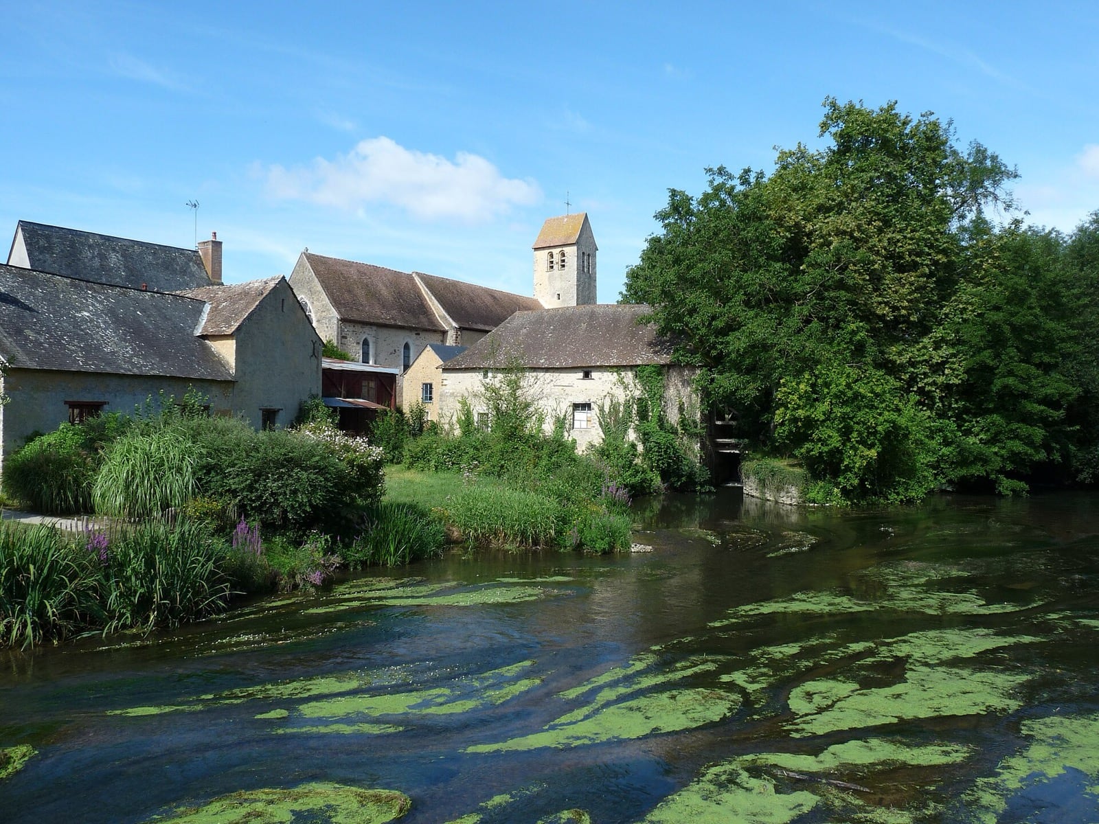 Le bourg d'Asnières-sur-Vègre au bord de la rivière : bâtiments de moellons clairs, toits de tuile et d'ardoise, clocher roman à flèche de pierre
