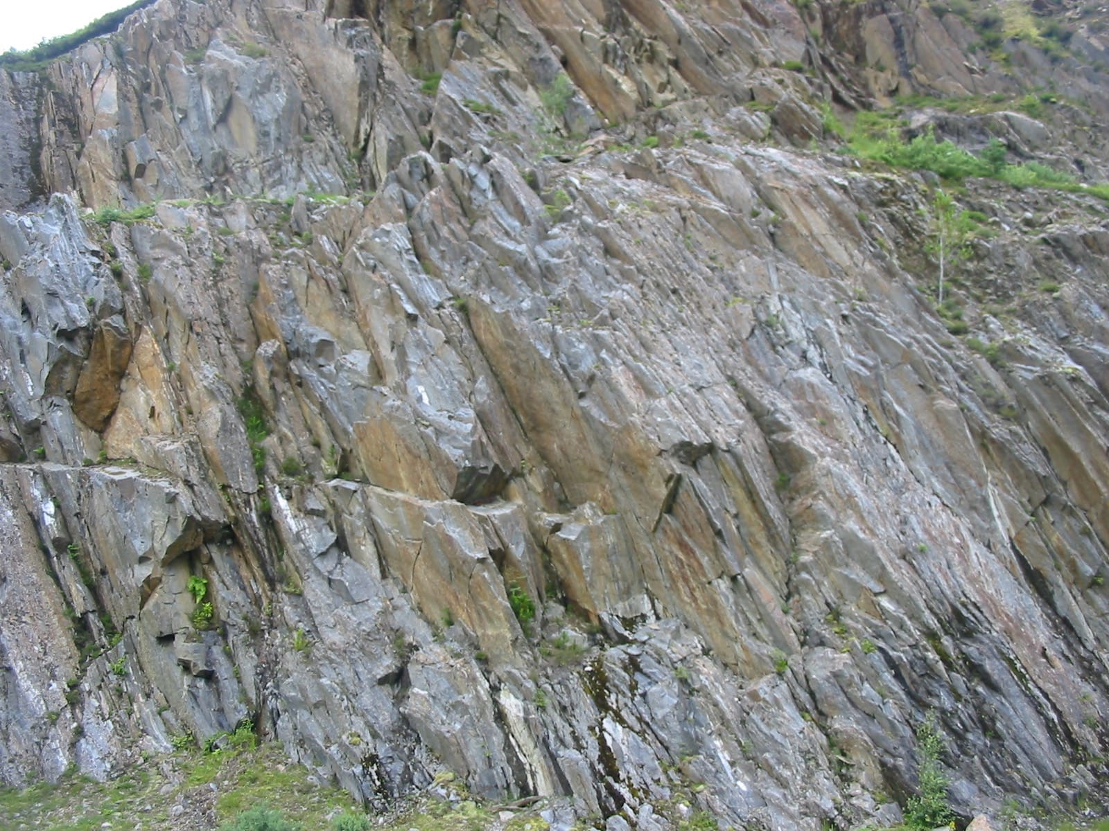 Front rocheux de schiste montrant les plans de schistosité parallèles selon lesquels la roche se fend