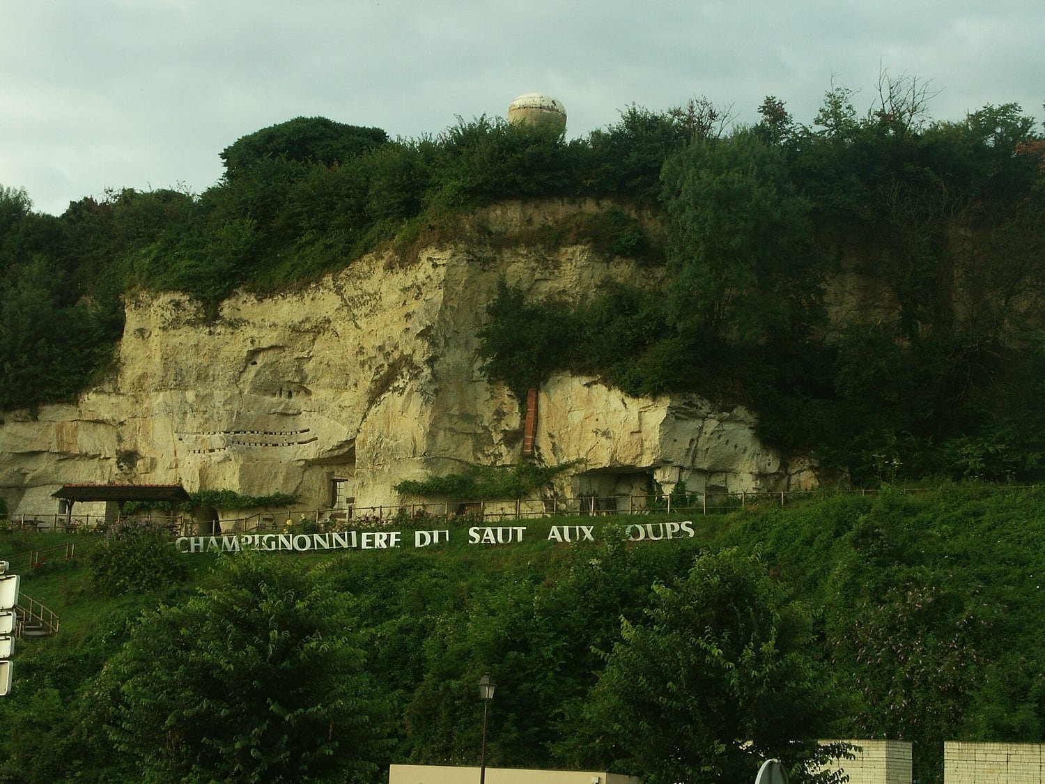 Falaise de tuffeau de la champignonnière du Saut aux Loups à Montsoreau