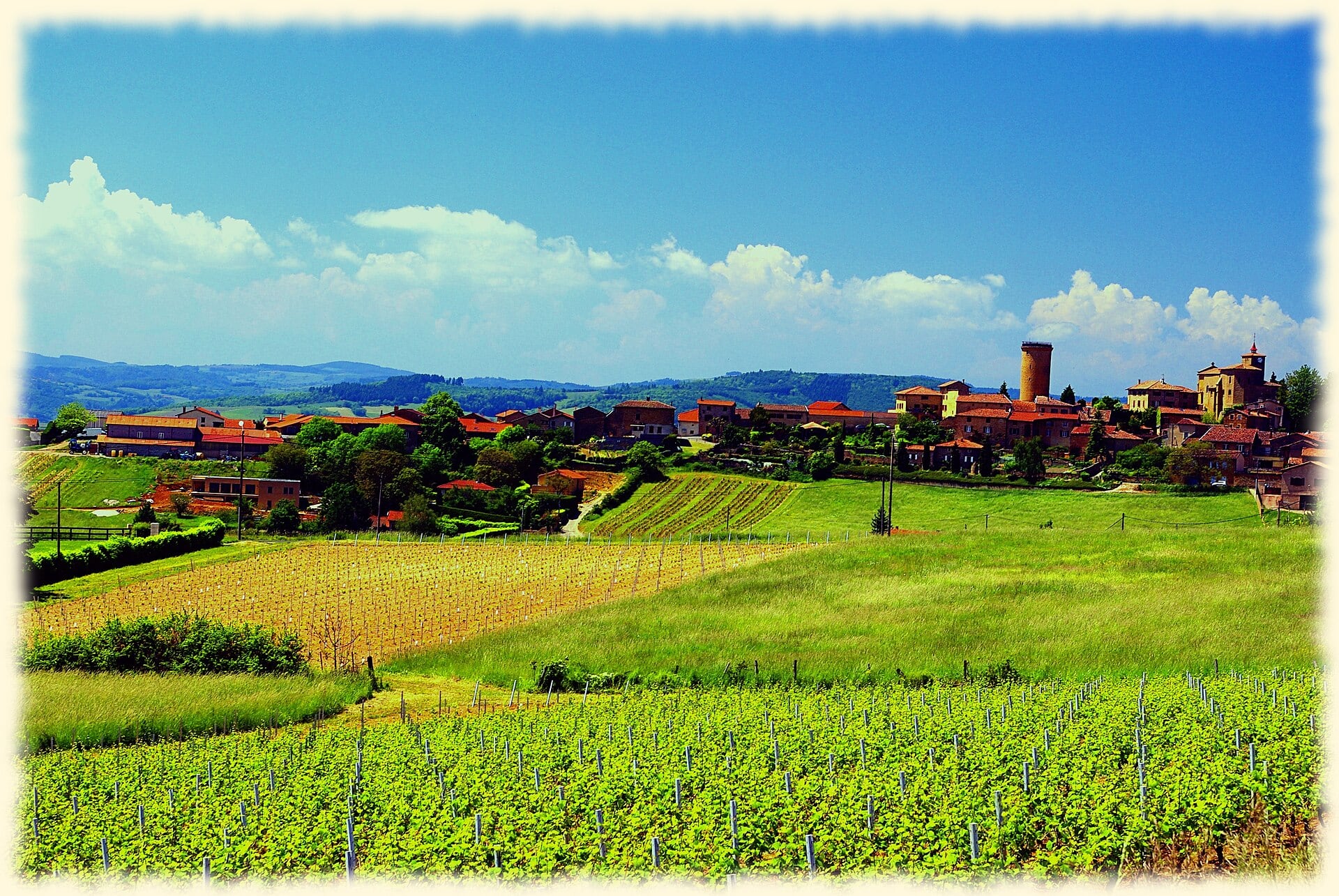 Le village d’Oingt dans les vignes des pierres dorées du Beaujolais
