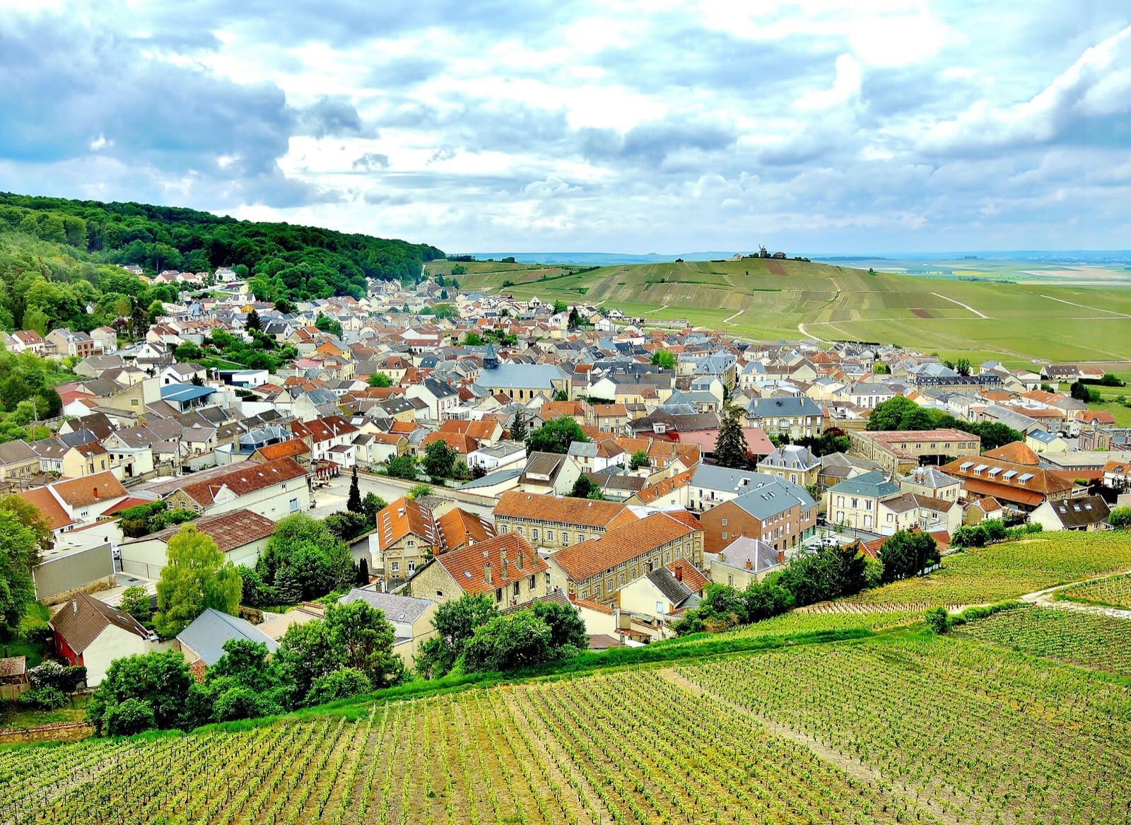 Vue plongeante sur Verzenay depuis le phare : toits serrés au creux du coteau, la vigne reprenant dès la dernière maison
